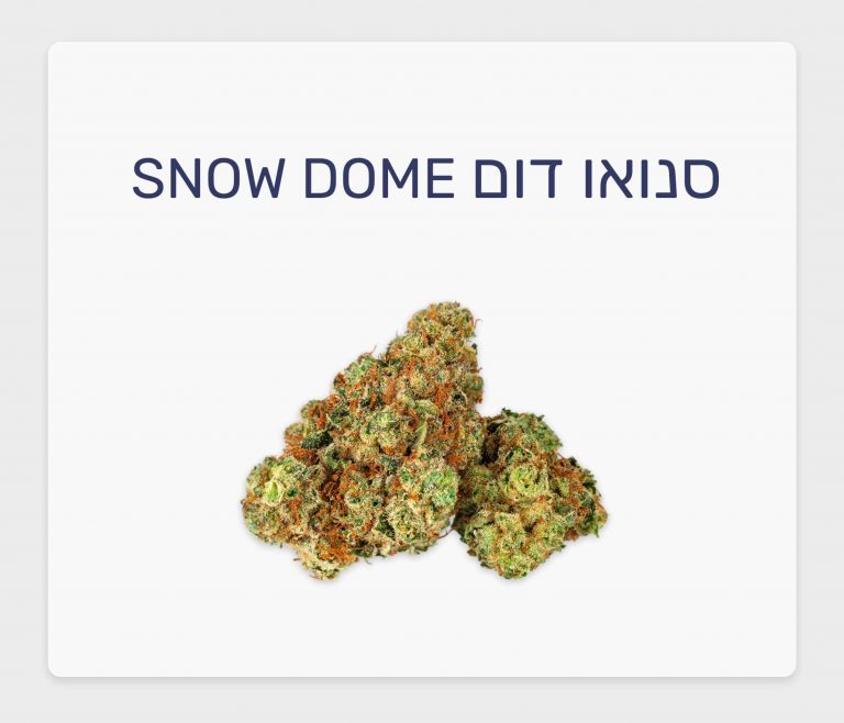 סקירת זן – תפרחת סנואו דום T20/C4 אינדיקה