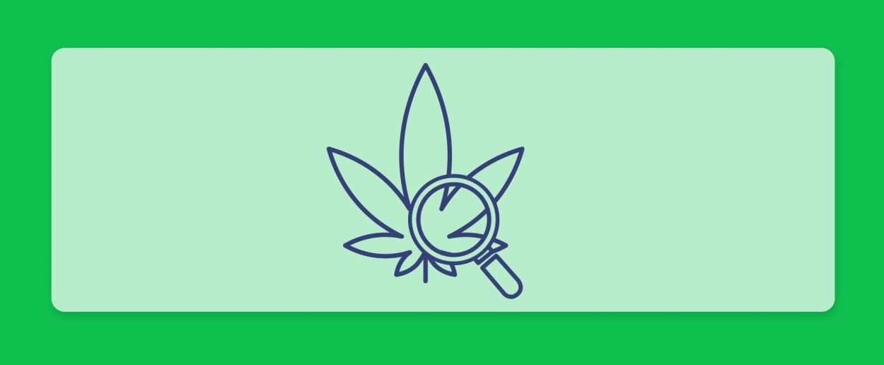 סיכום השבוע שהיה - עדכוני זנים