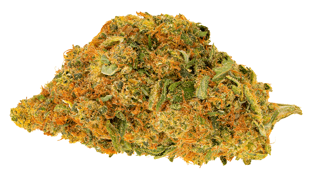 תפרחת לומינריום