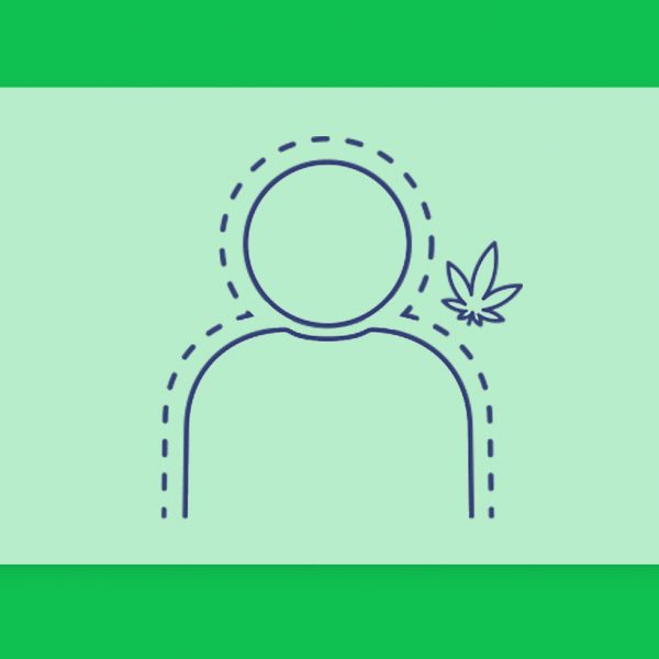 מדוע אנחנו מפתחים סבילות לקנאביס?