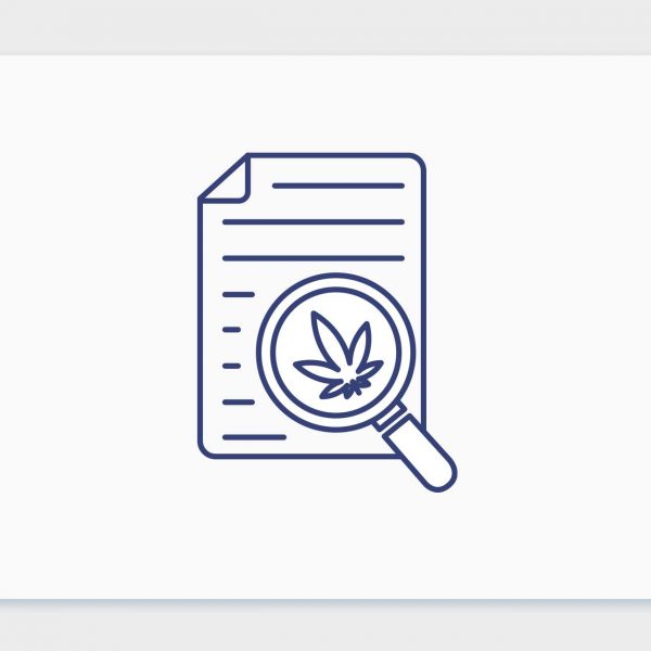 כל מה שצריך לדעת על רישיון קנאביס רפואי בישראל