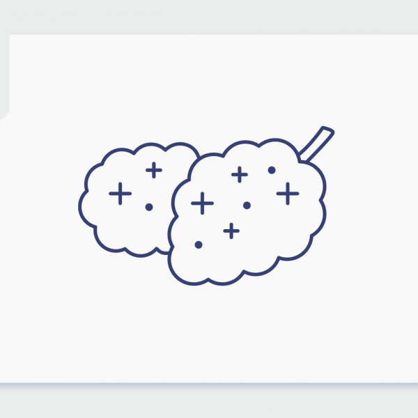 מי אני ומה שמי? סרטון תפרחות סאטיבה עכשיו בבתי המרקחת