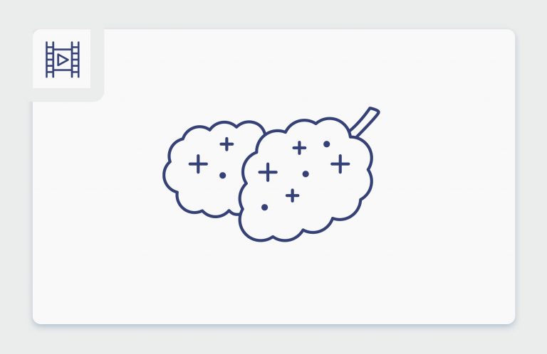 מי אני ומה שמי? סרטון תפרחות סאטיבה עכשיו בבתי המרקחת