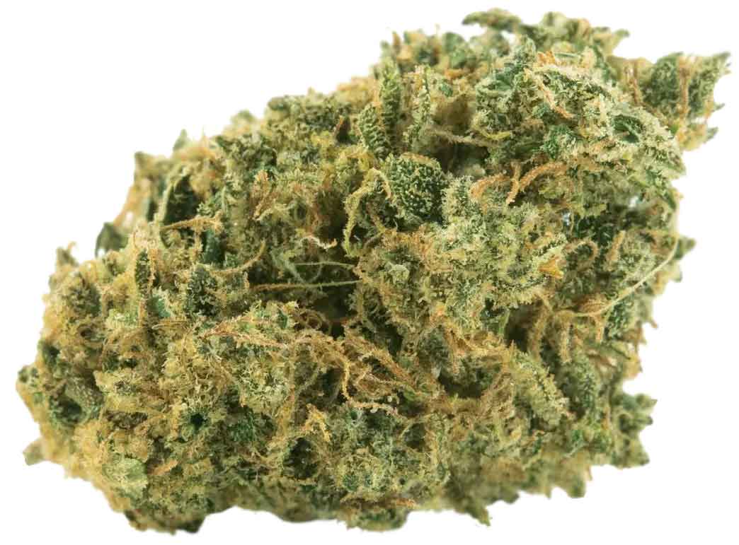 תפרחת ניוטון