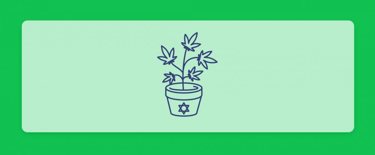 חברות הקנאביס הרפואי בישראל - רשימת המגדלים המלאה