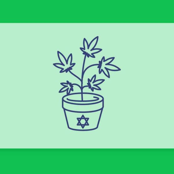 חברות הקנאביס הרפואי בישראל - רשימת המגדלים המלאה