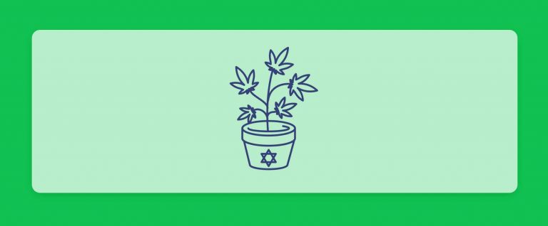 חברות הקנאביס הרפואי בישראל - רשימת המגדלים המלאה