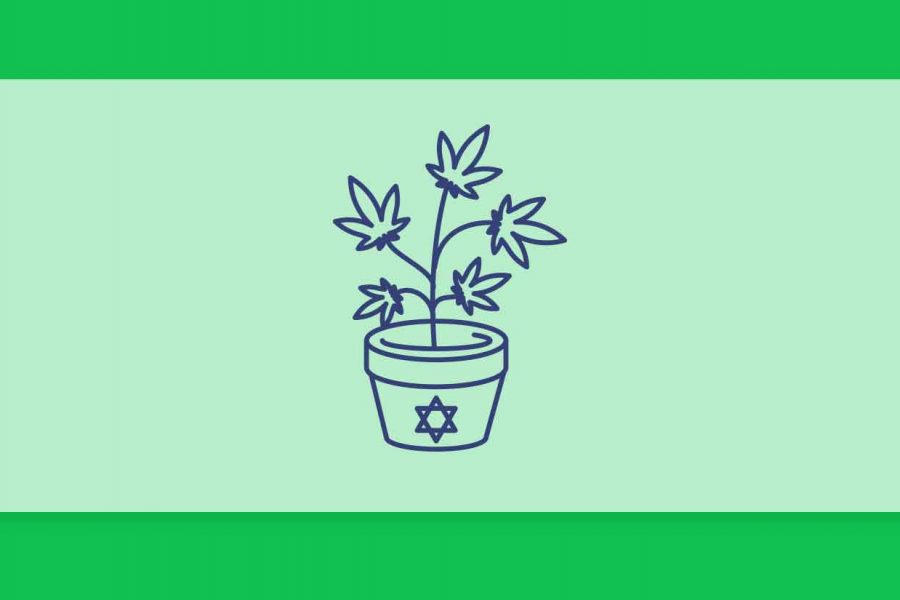 חברות הקנאביס הרפואי בישראל - רשימת המגדלים המלאה