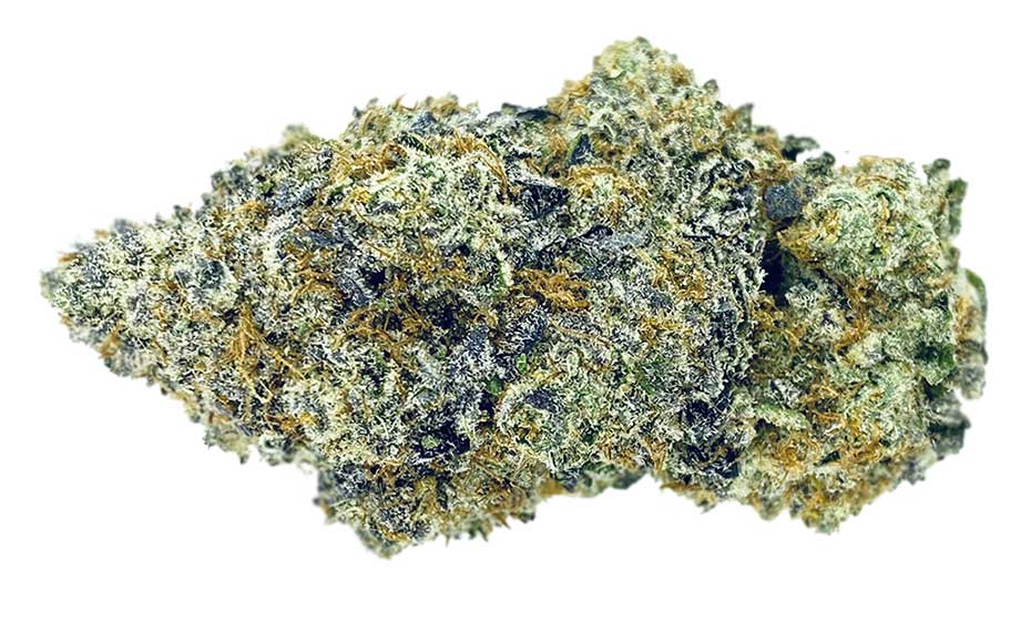 תפרחת וודינג קראשר