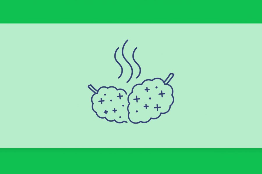 ארומות וריחות הקנאביס