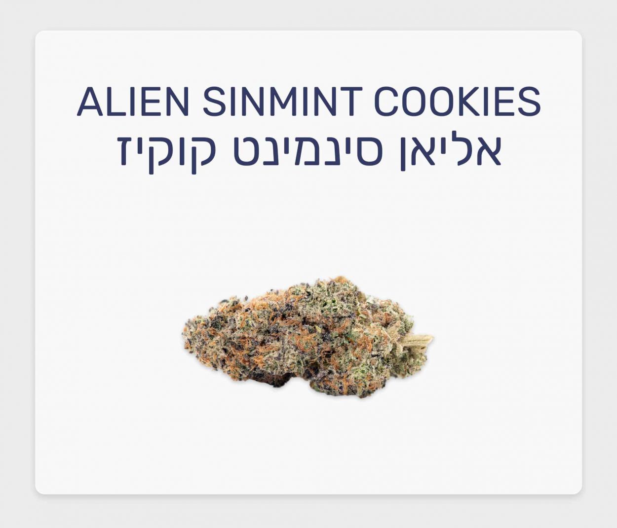 סקירת זן אליאן סינמינט קוקיז – תפרחת קנאביס רפואי T20/C4 היברידי