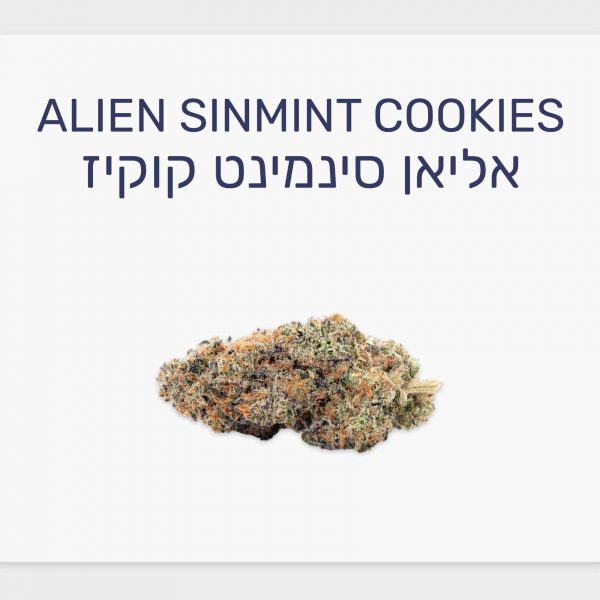 סקירת זן אליאן סינמינט קוקיז – תפרחת קנאביס רפואי T20/C4 היברידי