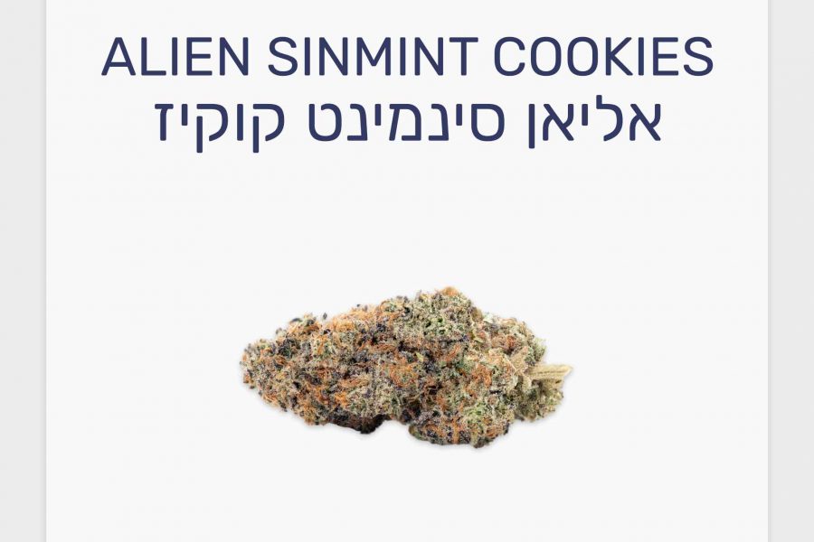 סקירת זן אליאן סינמינט קוקיז – תפרחת קנאביס רפואי T20/C4 היברידי