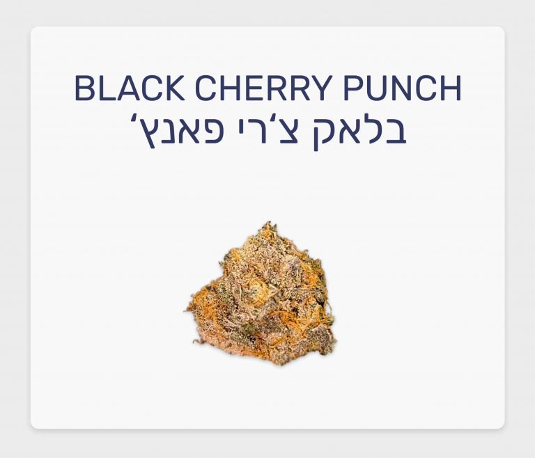 סקירת זן בלאק צ'רי פאנץ' – תפרחת קנאביס רפואי T20/C4 אינדיקה