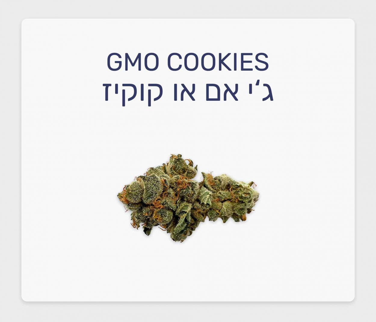 סקירת זן ג'י אם או קוקיז – תפרחת קנאביס רפואי T20/C4 אינדיקה