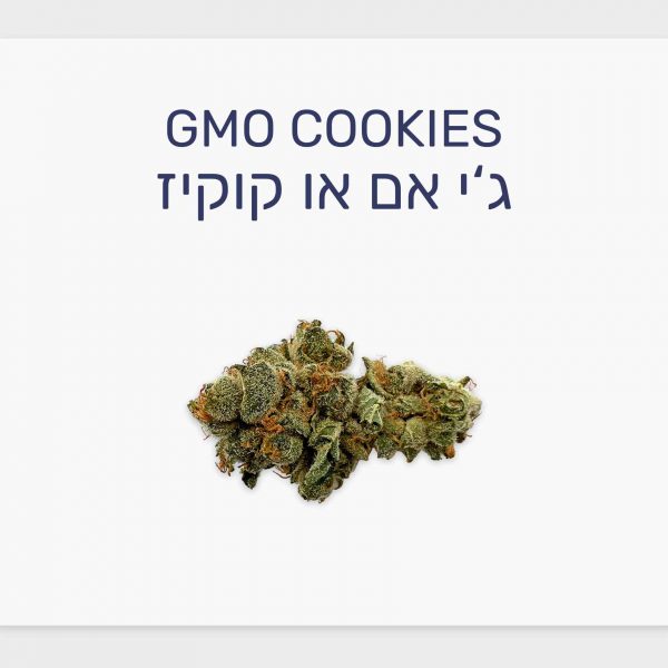 סקירת זן ג'י אם או קוקיז – תפרחת קנאביס רפואי T20/C4 אינדיקה