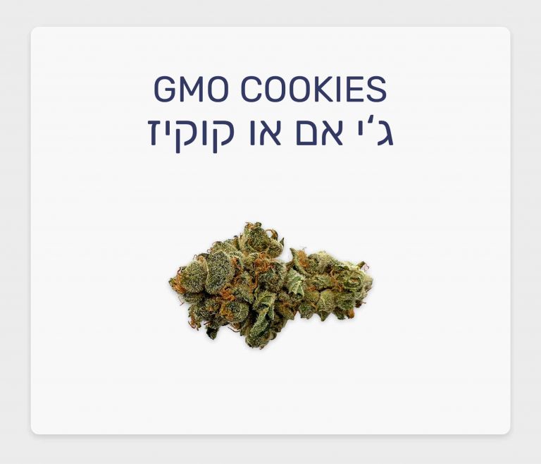 סקירת זן ג'י אם או קוקיז – תפרחת קנאביס רפואי T20/C4 אינדיקה