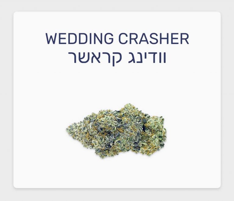 סקירת זן וודינג קראשר – תפרחת קנאביס רפואי T20/C4 אינדיקה