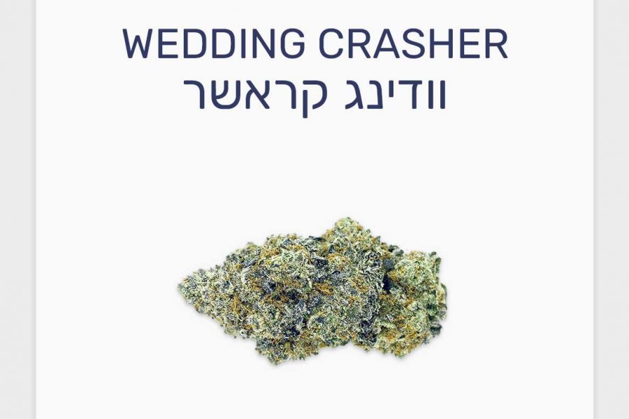 סקירת זן וודינג קראשר – תפרחת קנאביס רפואי T20/C4 אינדיקה