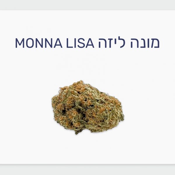 סקירת זן מונה ליזה – תפרחת קנאביס רפואי T20/C4 סאטיבה