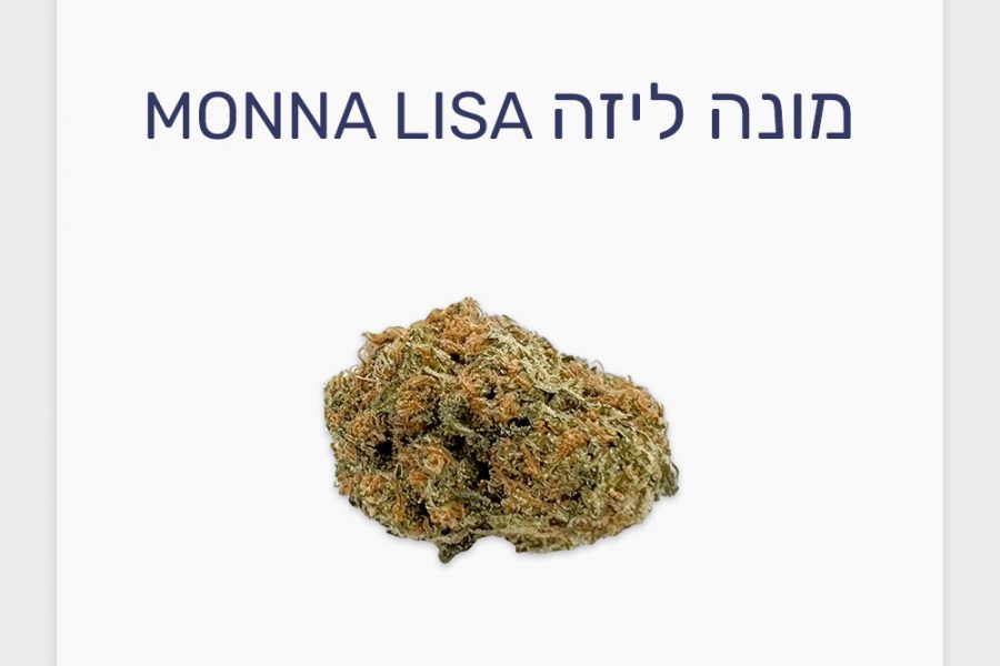 סקירת זן מונה ליזה – תפרחת קנאביס רפואי T20/C4 סאטיבה