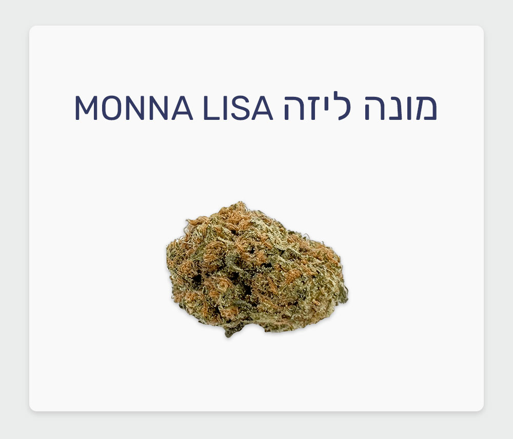 סקירת זן מונה ליזה – תפרחת קנאביס רפואי T20/C4 סאטיבה