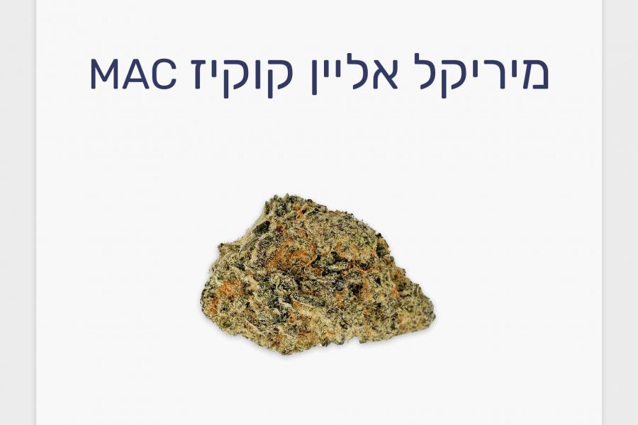 סקירת זן קנאביס רפואי – תפרחת מיריקל אליין קוקיז T20/C4 אינדיקה