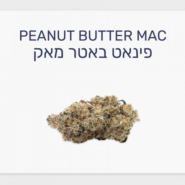 קירת זן פינאט באטר מאק – תפרחת קנאביס רפואי T20/C4 היברידי