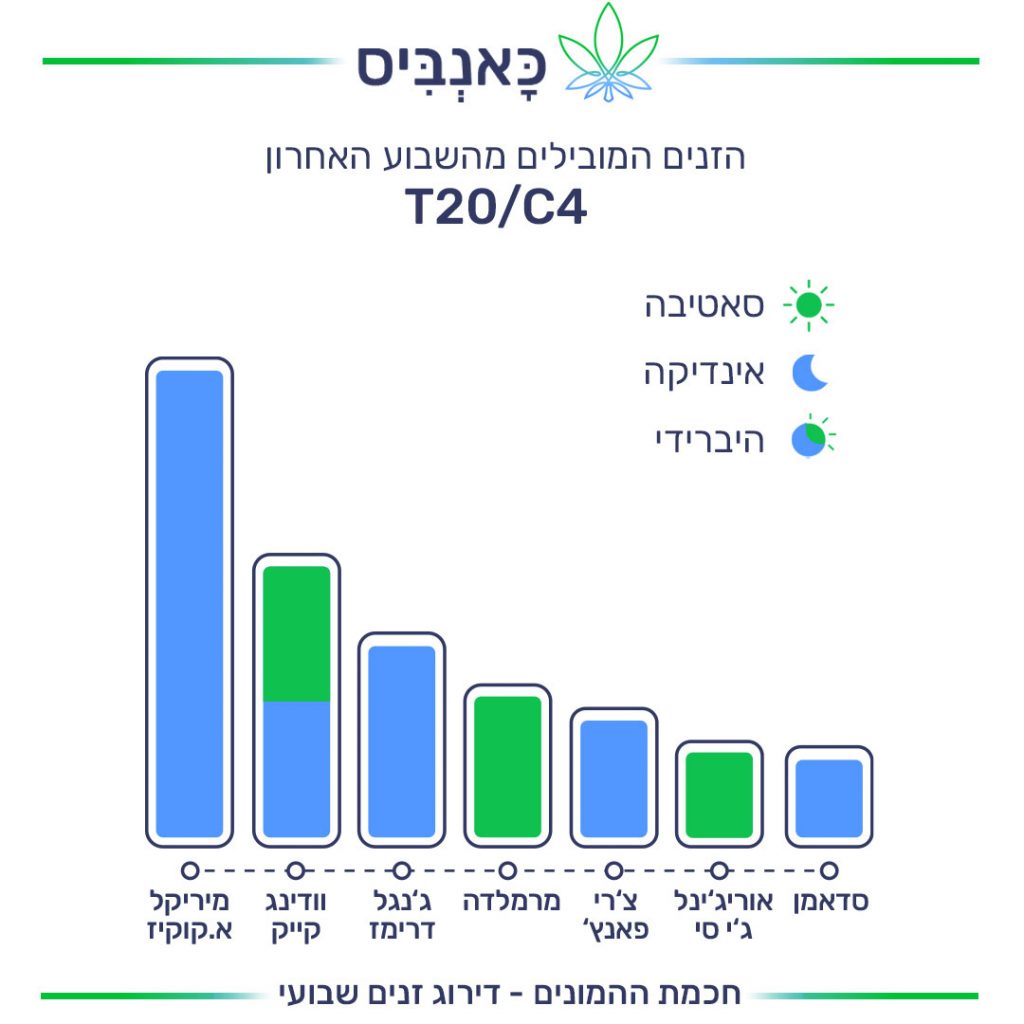 דירוג זנים 19.12 T20