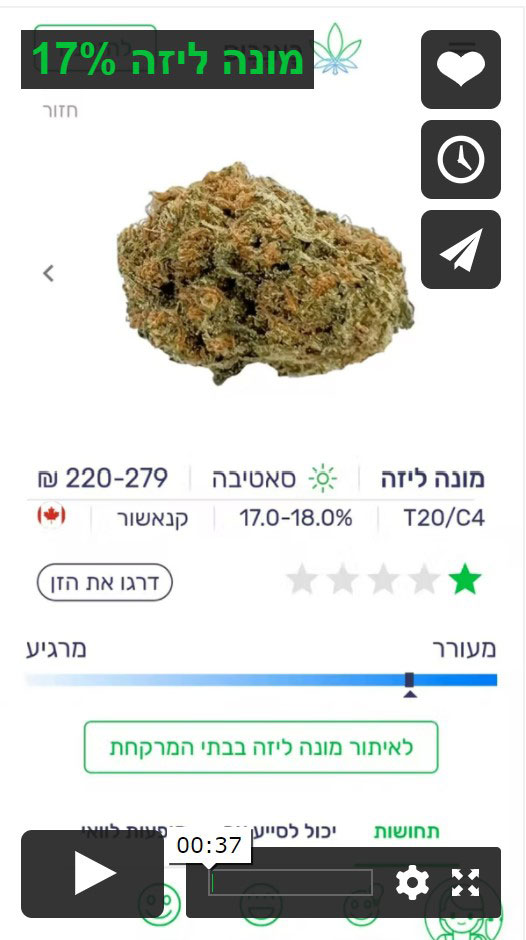 וימאו מונה ליזה