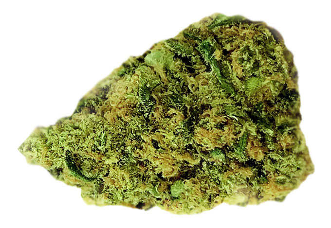 תפרחת מונה ליזה