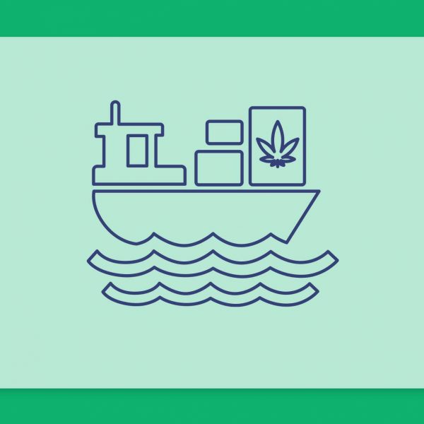 יבוא קנאביס רפואי בישראל וזני יבוא של קנאביס רפואי עכשיו במלאי בבתי המרקחת השונים