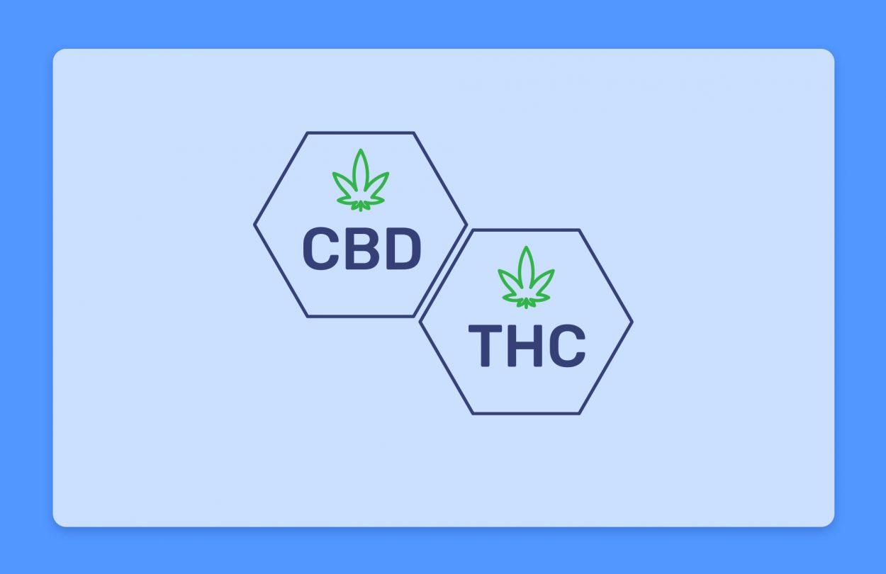 THC לעומת CBD מה ההבדל?