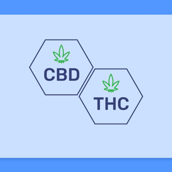 THC לעומת CBD מה ההבדל?