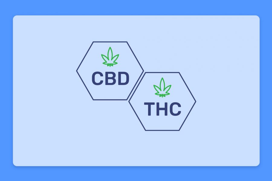 THC לעומת CBD מה ההבדל?
