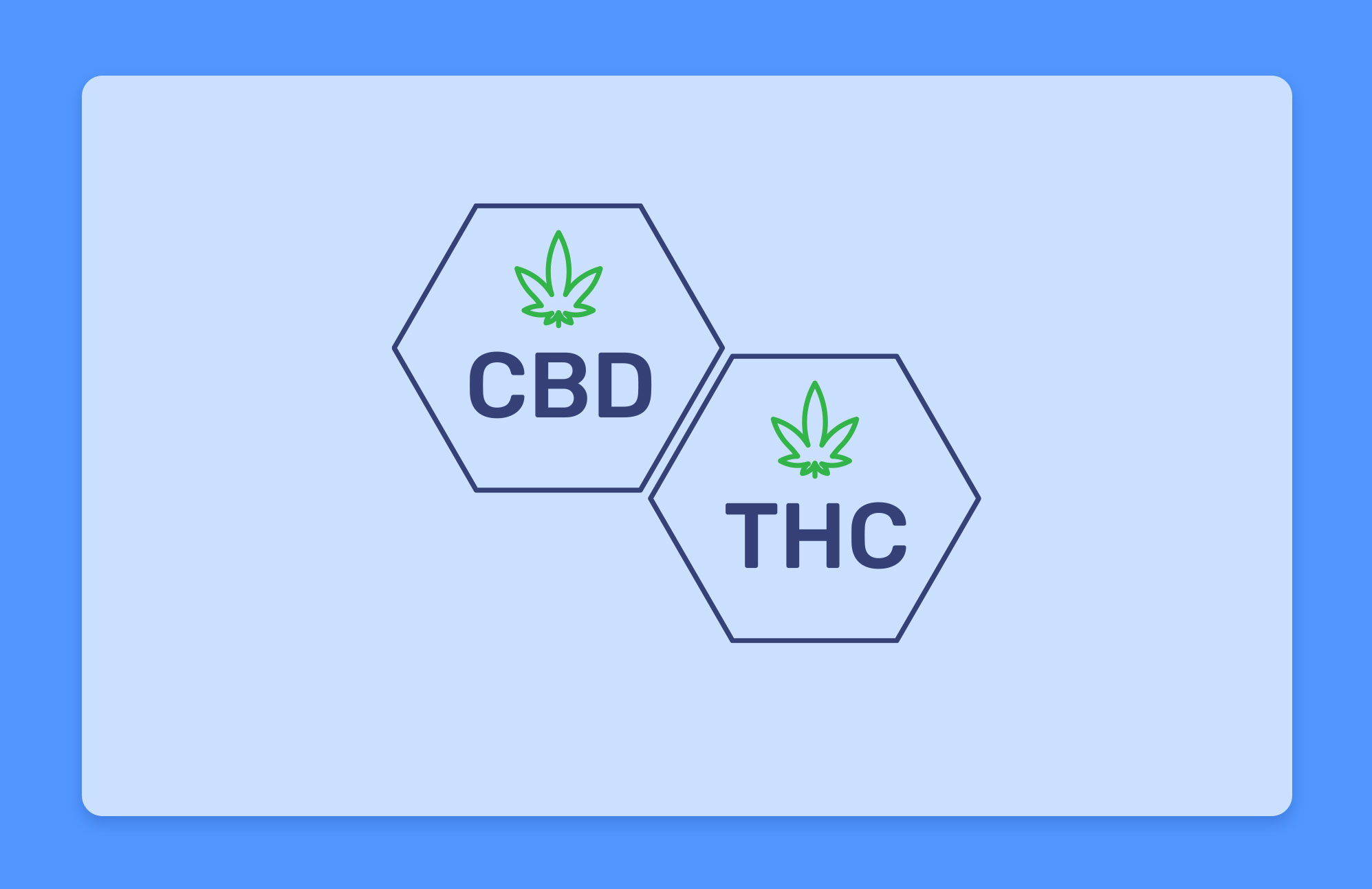 THC לעומת CBD מה ההבדל?