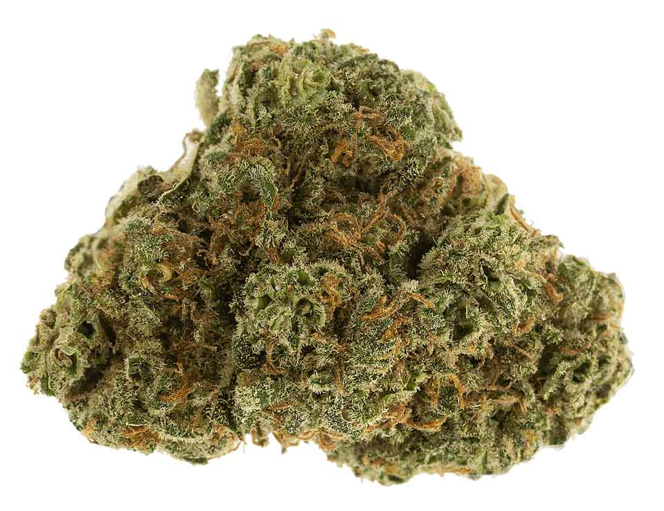 תפרחת אוויר