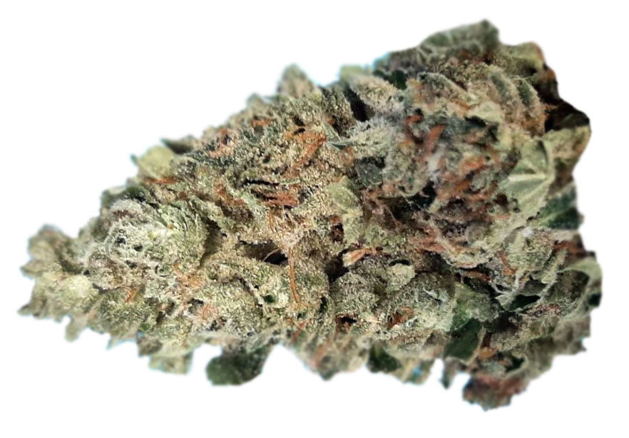 תפרחת אקסיס