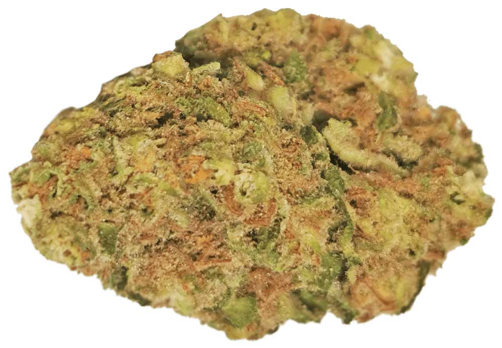 תפרחת דרים הייז