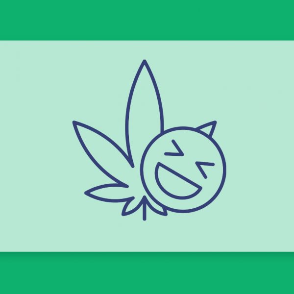 למה קנאביס עלול לגרום לצחקוק? ודוגמאות לזני קנאביס רפואי העשויים לגרום לצחקוק כרגע במלאי