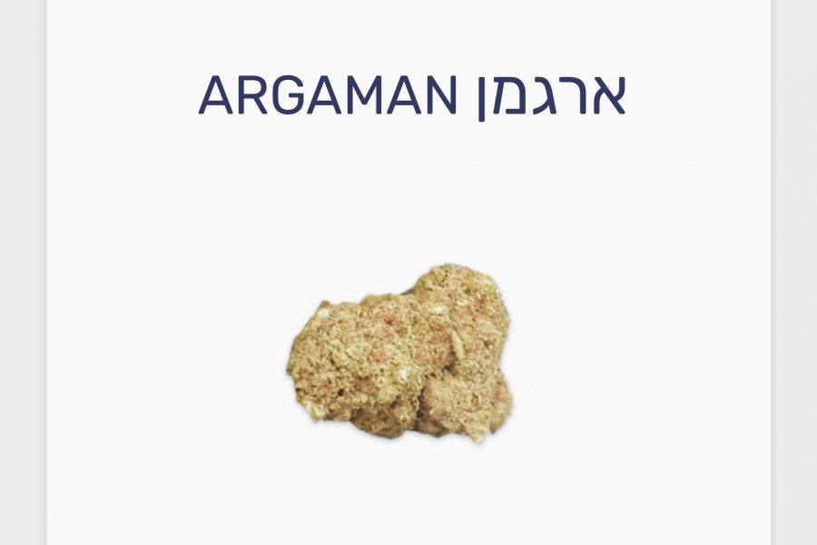 סקירת זן ארגמן – תפרחת קנאביס רפואי T10/C10 היברידי