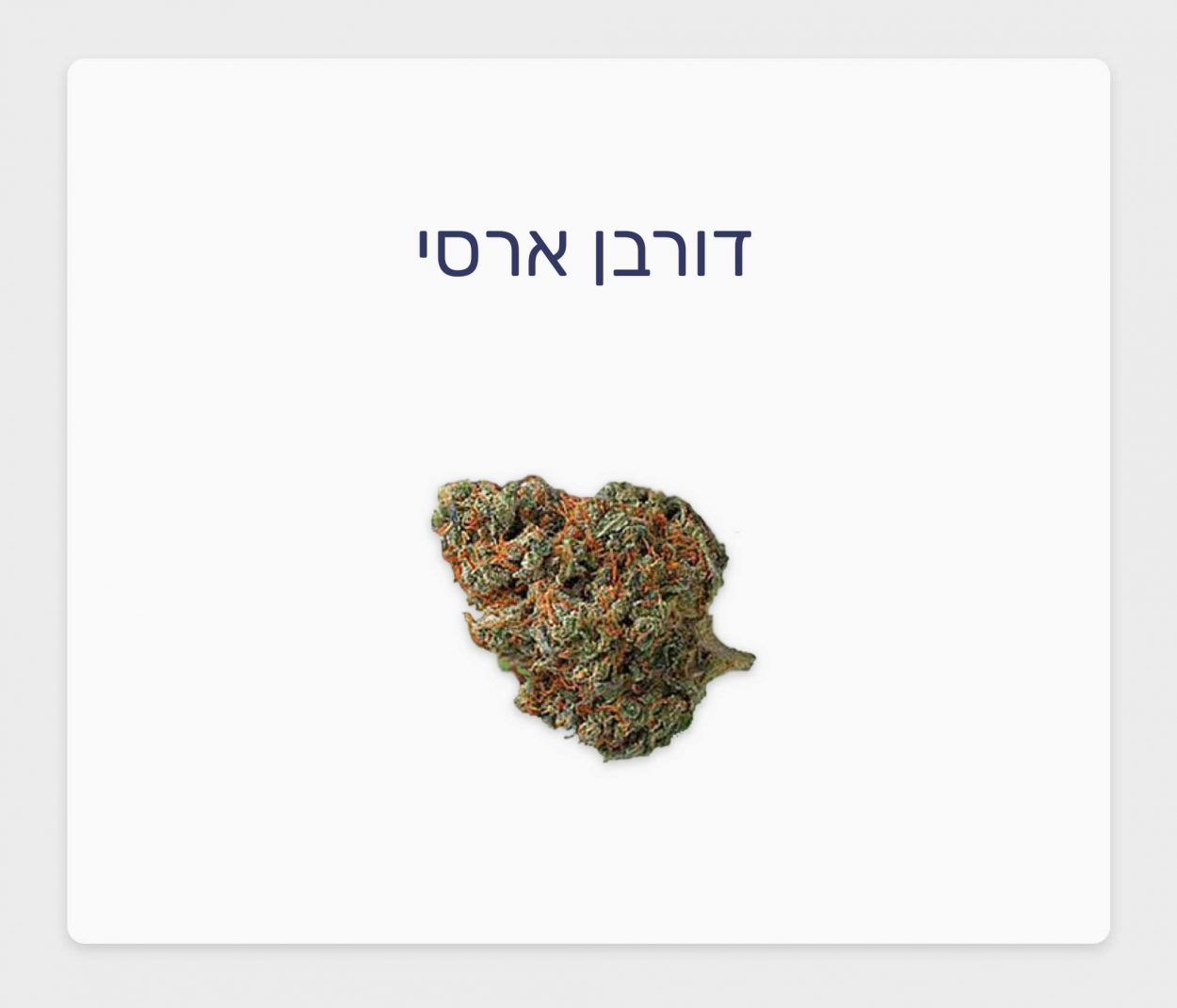 סקירת זן דורבן ארסי – תפרחת קנאביס רפואי T20/C4 סאטיבה