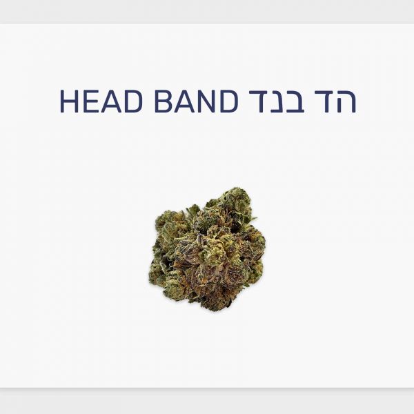 סקירת זן הד בנד – תפרחת קנאביס רפואי T20/C4 סאטיבה