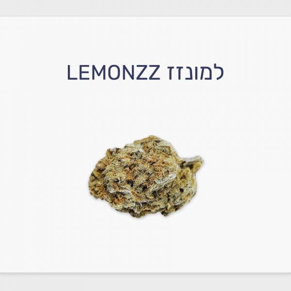 סקירת זן למונזז – תפרחת קנאביס רפואי T20/C4 אינדיקה