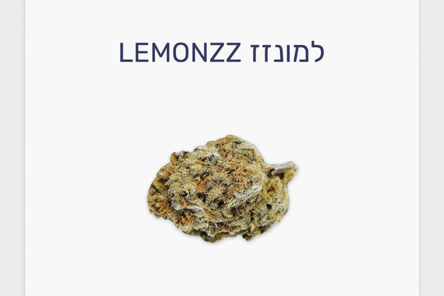 סקירת זן למונזז – תפרחת קנאביס רפואי T20/C4 אינדיקה