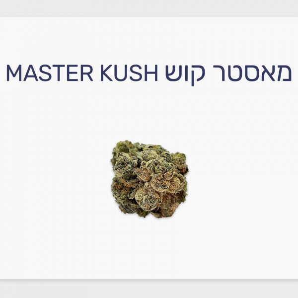 סקירת זן מאסטר קוש – תפרחת קנאביס רפואי T20/C4 אינדיקה