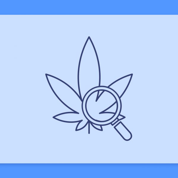 סיכום השבוע שהיה - עדכוני זנים של תפרחות ושמני קנאביס רפואי מהשבוע האחרון 20.1.22