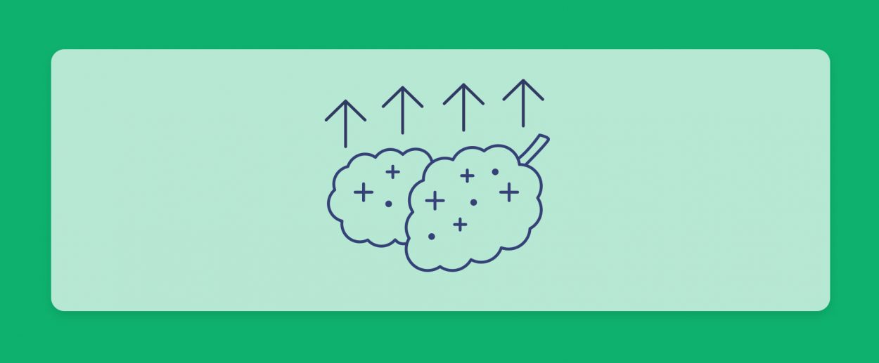 זני קנאביס חזקים במלאי בתי המרקחת