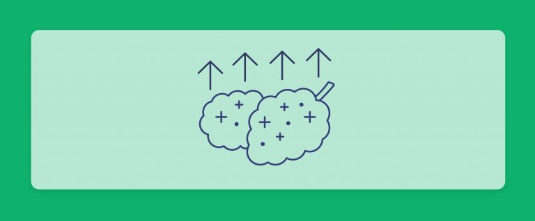 זני קנאביס חזקים במלאי בתי המרקחת