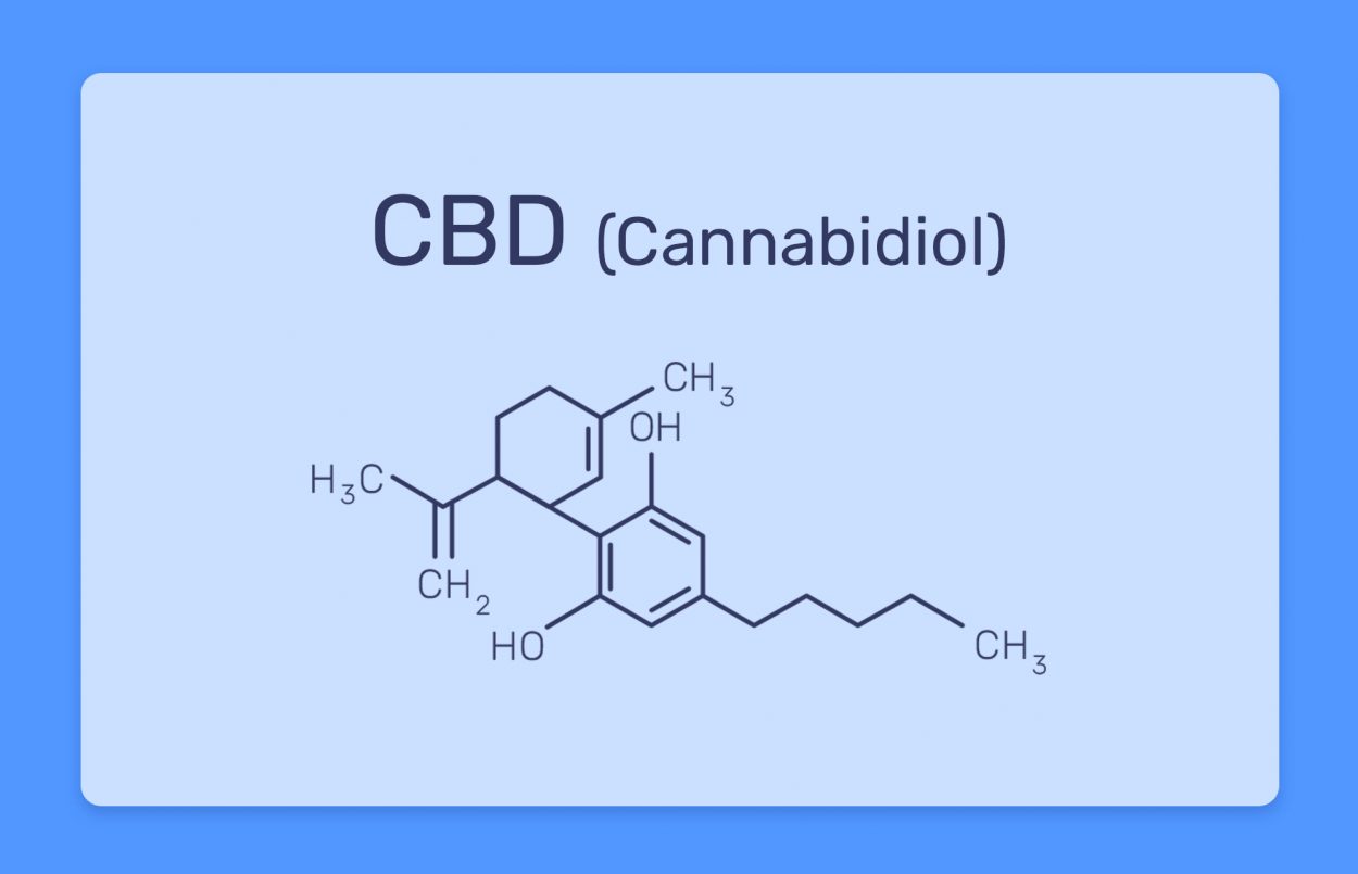 מה זה סיבידי CBD? כל מה שצריך לדעת על הקנבינואיד קנאבידיול